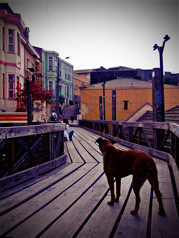 photo "***" tags: city, architecture, landscape, 