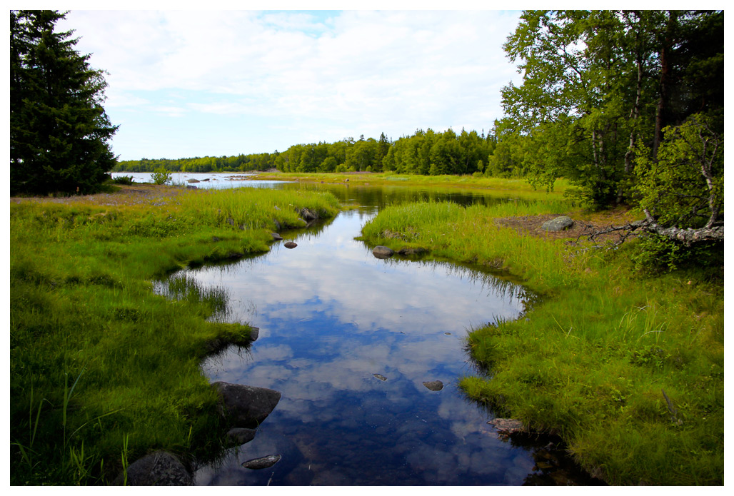 photo "***" tags: landscape, forest, water