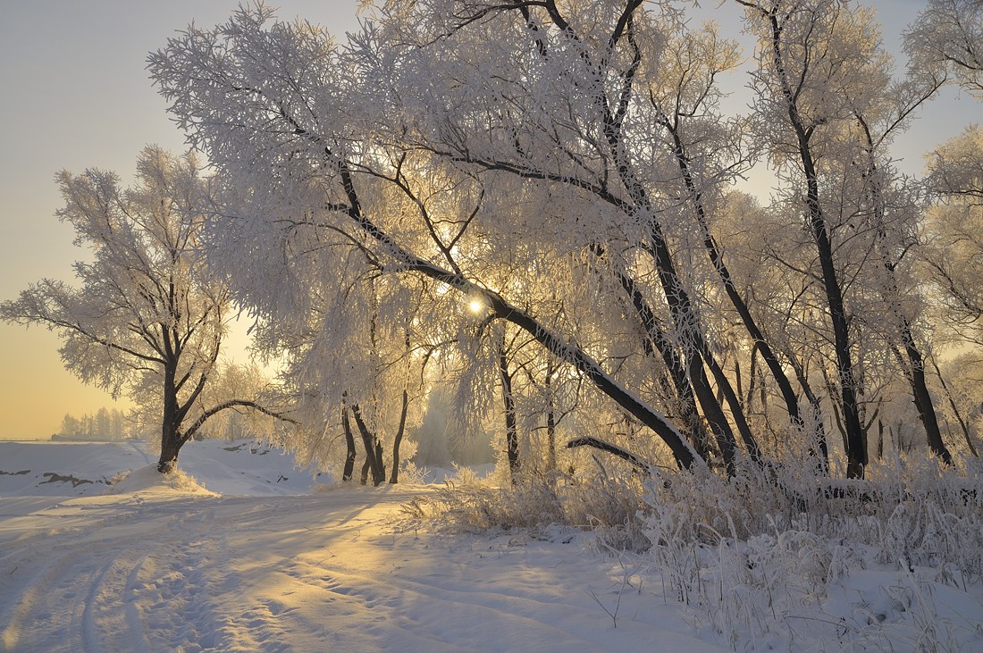 photo "Winter morning" tags: landscape, sunset, winter