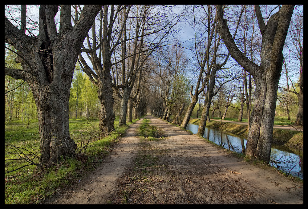 фото "***" метки: пейзаж, весна