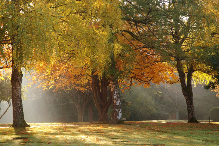 photo "Falls filtered lights" tags: landscape, travel, North America, autumn