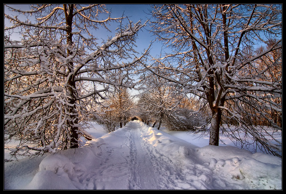 photo "***" tags: landscape, winter