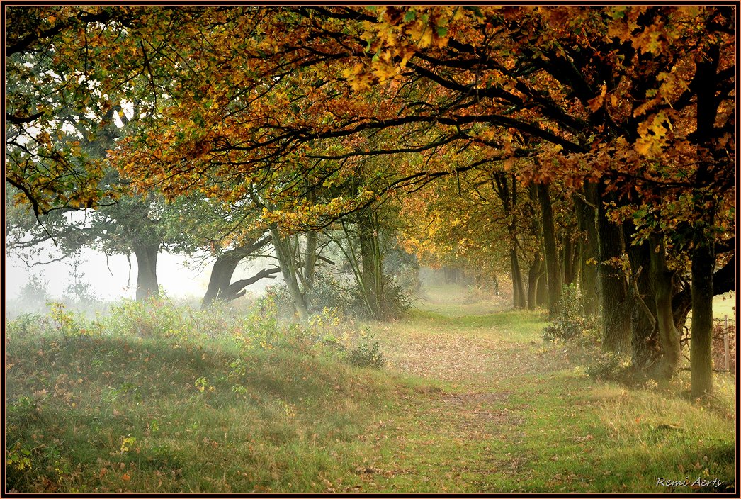 photo "Come walk" tags: landscape, autumn, sunset