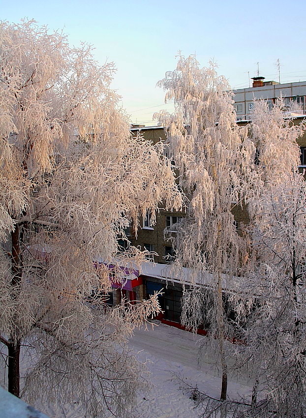 фото "Утро 8.12." метки: пейзаж, зима