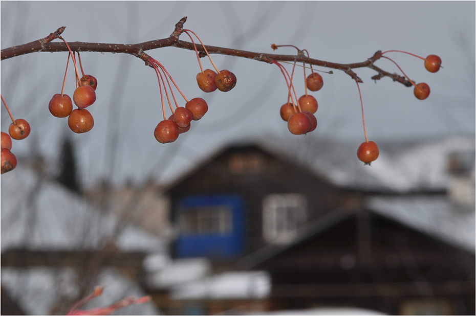 photo "***" tags: landscape, city, winter