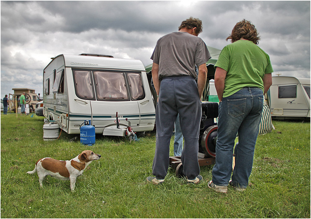 photo "- Do you remember about me?" tags: genre, nature, people, pets/farm animals, собака