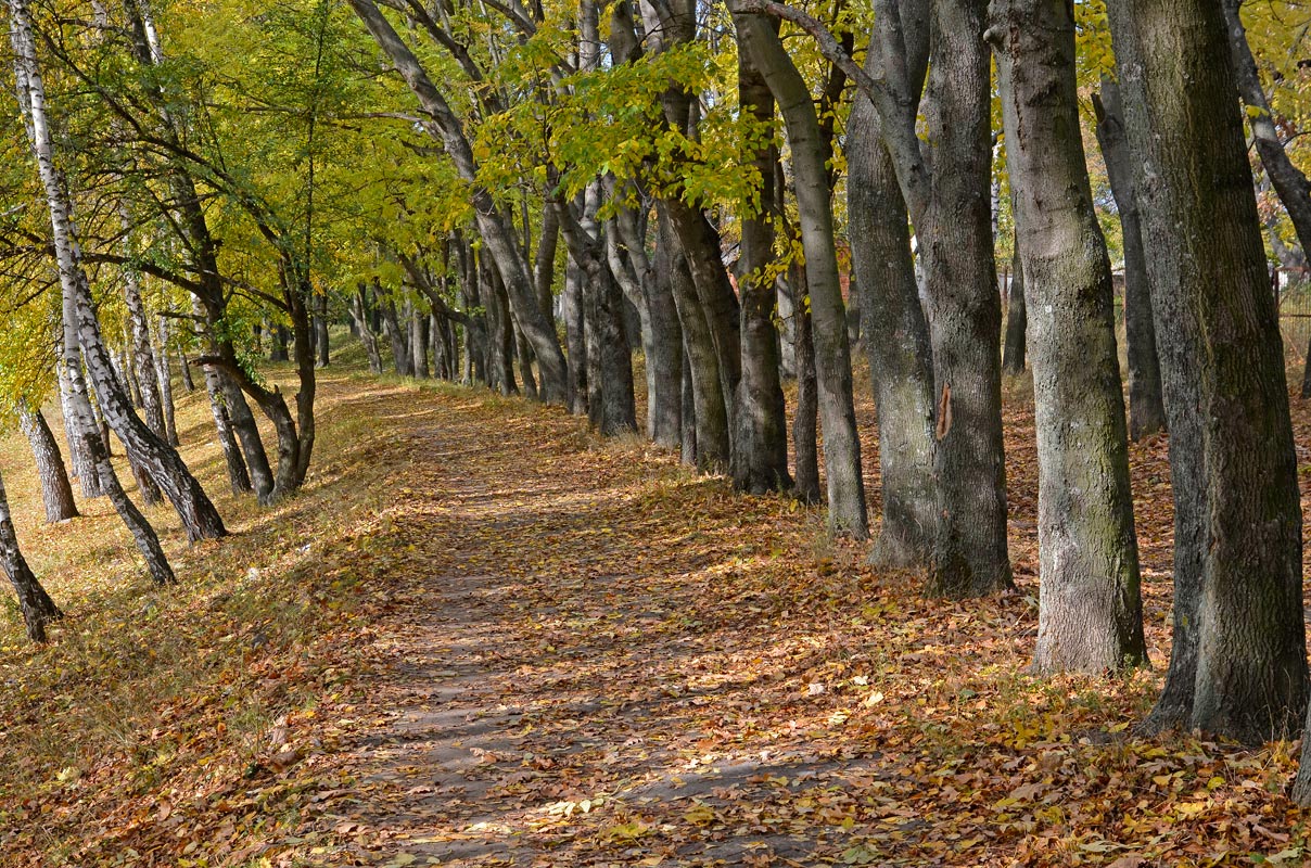 photo "***" tags: landscape, autumn