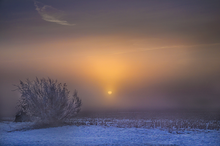 photo "Winter Solsitce" tags: landscape, winter