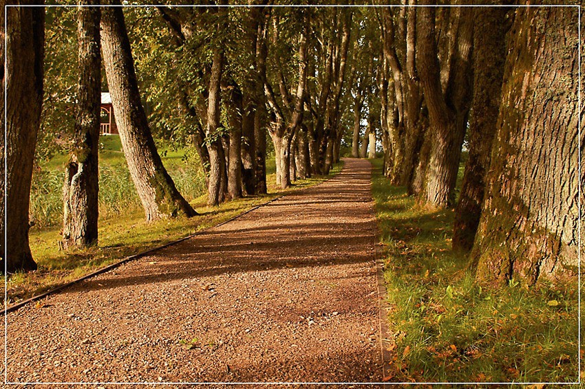 photo "***" tags: landscape, autumn
