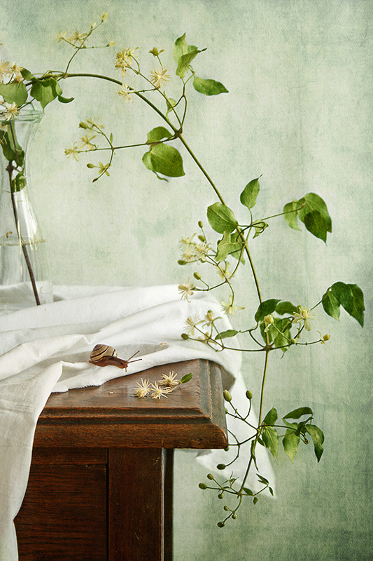 photo "Neugierige" tags: still life, 