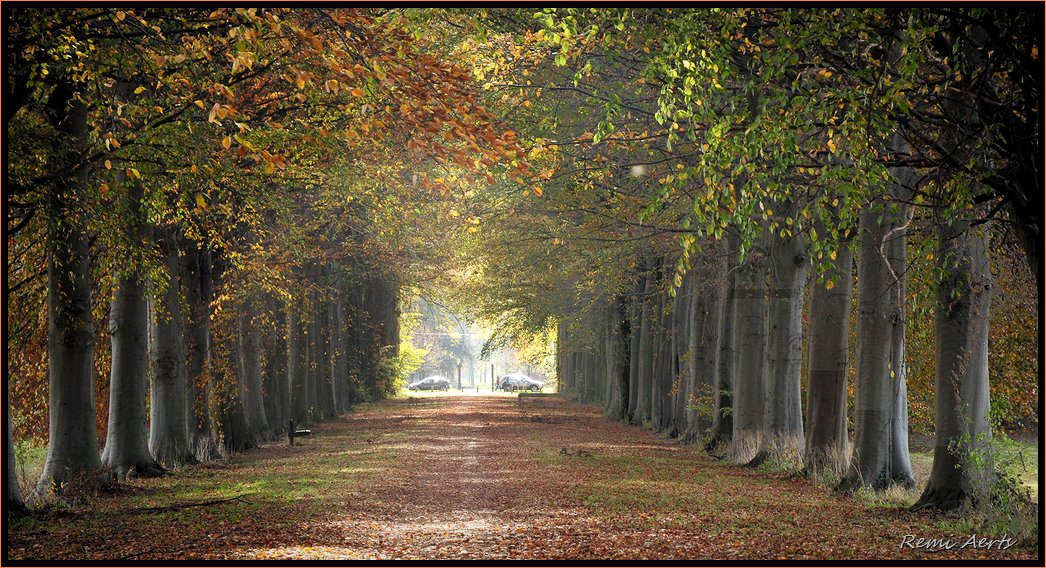 photo "***" tags: landscape, autumn, forest