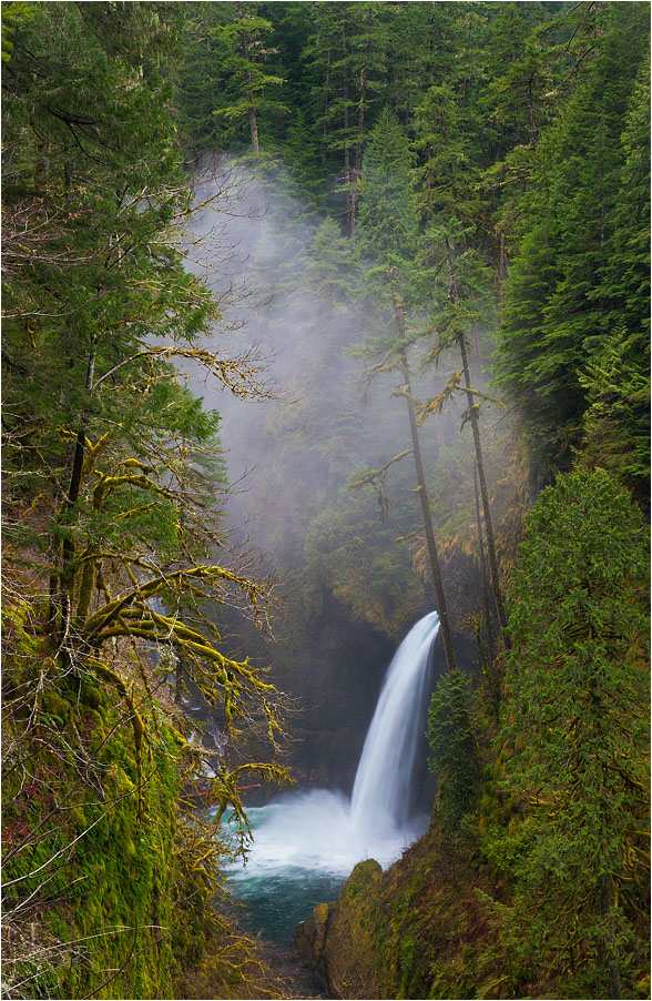 photo "White cloud" tags: landscape, forest, water