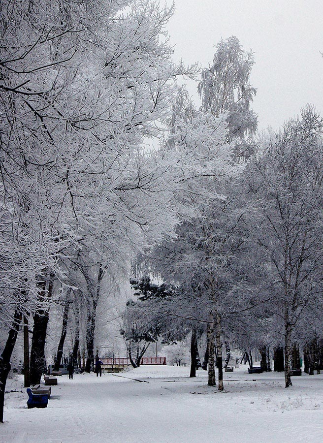 фото "***" метки: пейзаж, зима