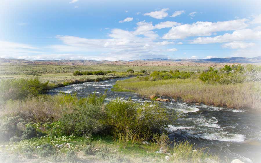 photo "Wind River" tags: landscape, spring