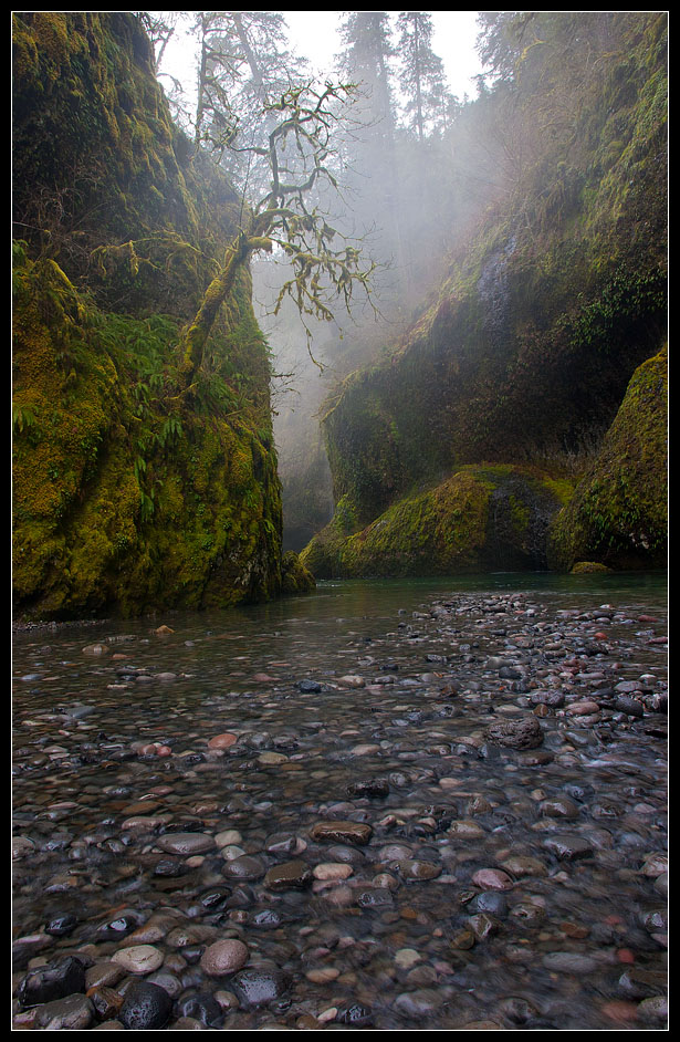 фото "Ползком по воде" метки: пейзаж, природа, вода