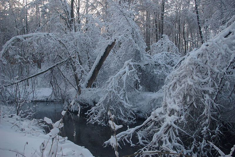 фото "Про зиму в начале года." метки: пейзаж, зима