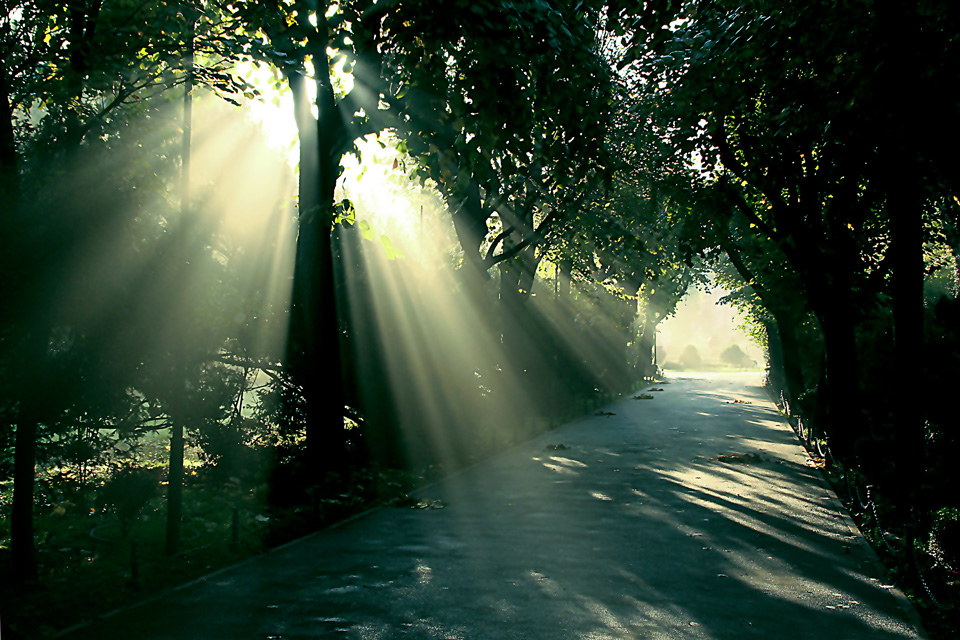 photo "Early October" tags: landscape, travel, Bucharest, Europe, autumn, light, road