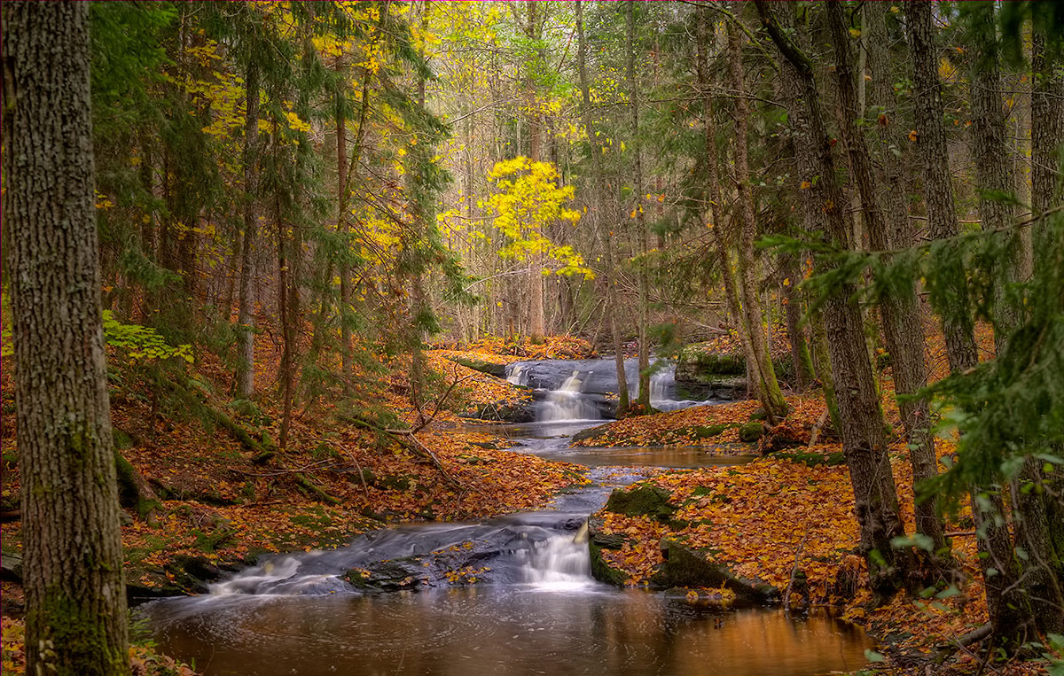 photo "Early Morning...." tags: landscape, autumn, water