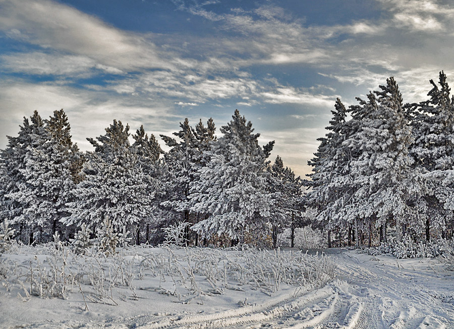 photo "***" tags: landscape, winter