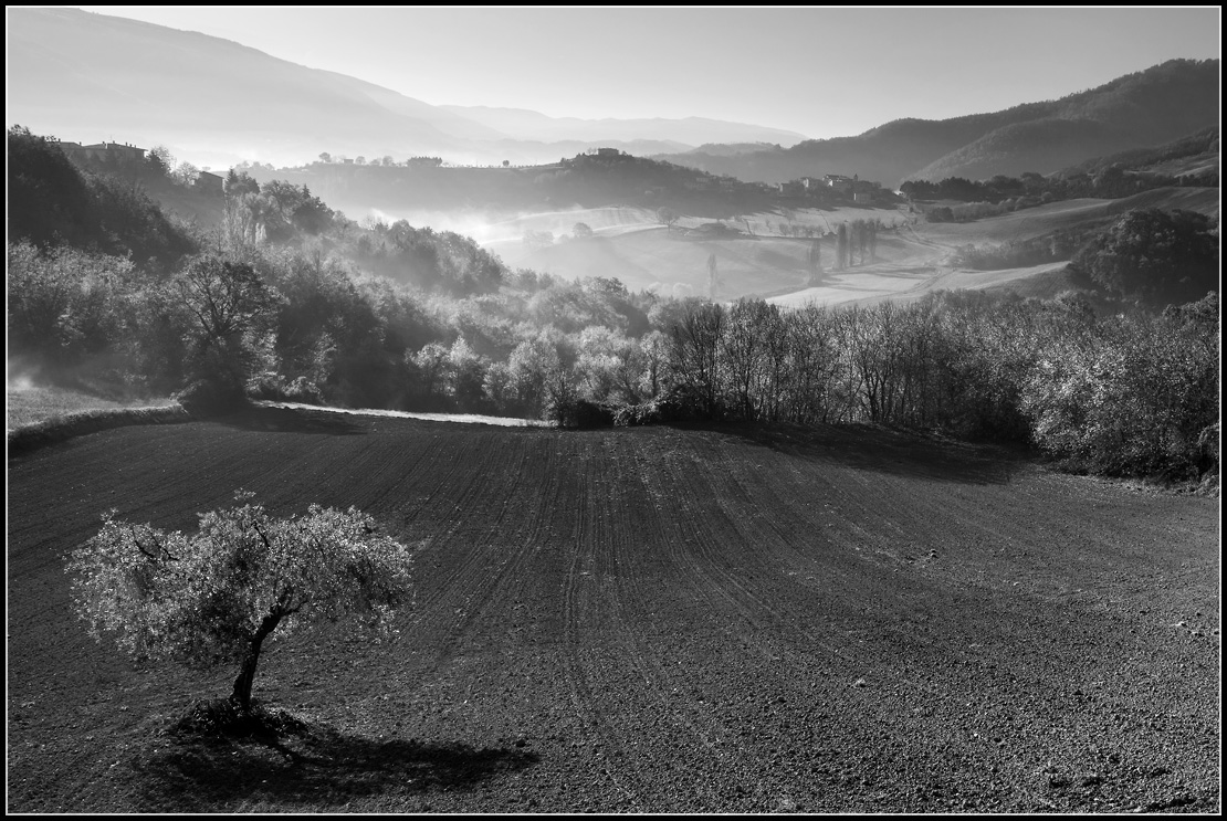 photo "The valley" tags: landscape, black&white, 