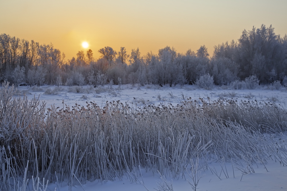 фото "Зима" метки: пейзаж, зима