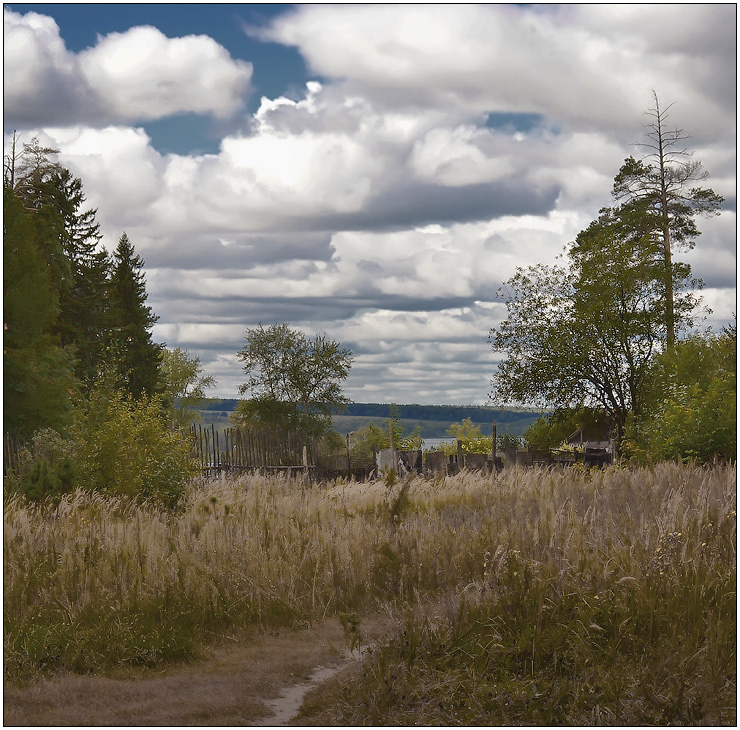 photo "***" tags: landscape, forest, summer