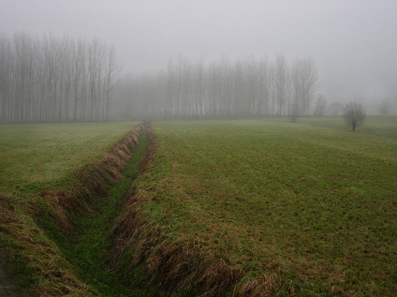 photo "***" tags: landscape, 