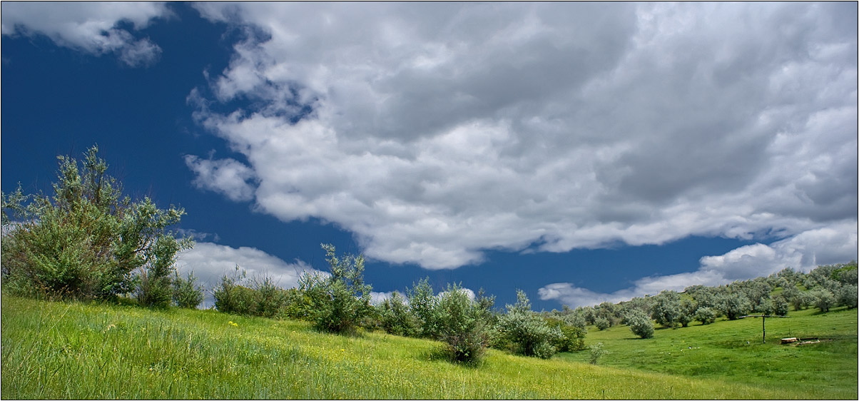 photo "***" tags: landscape, summer