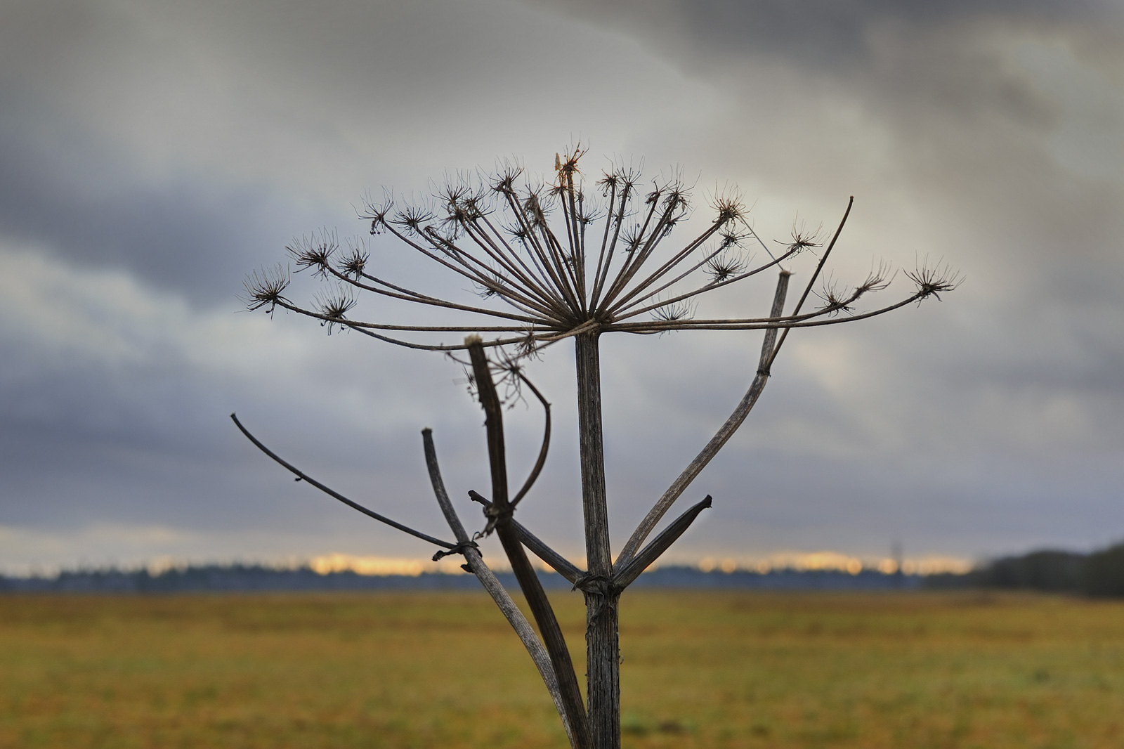 photo "***" tags: landscape, autumn