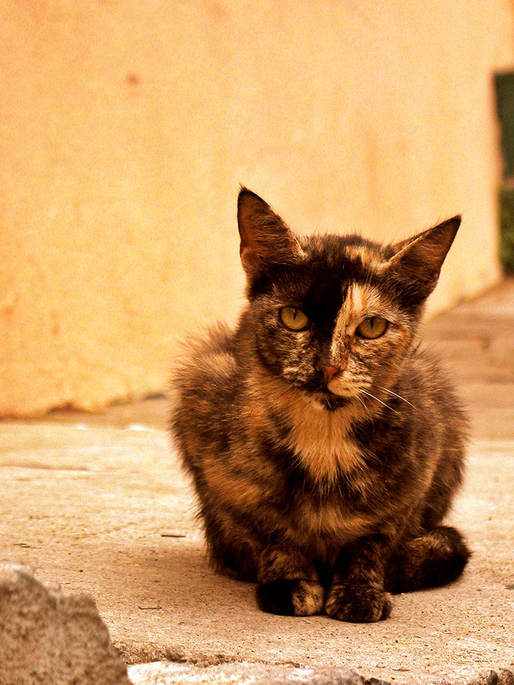 photo "***" tags: city, travel, South America