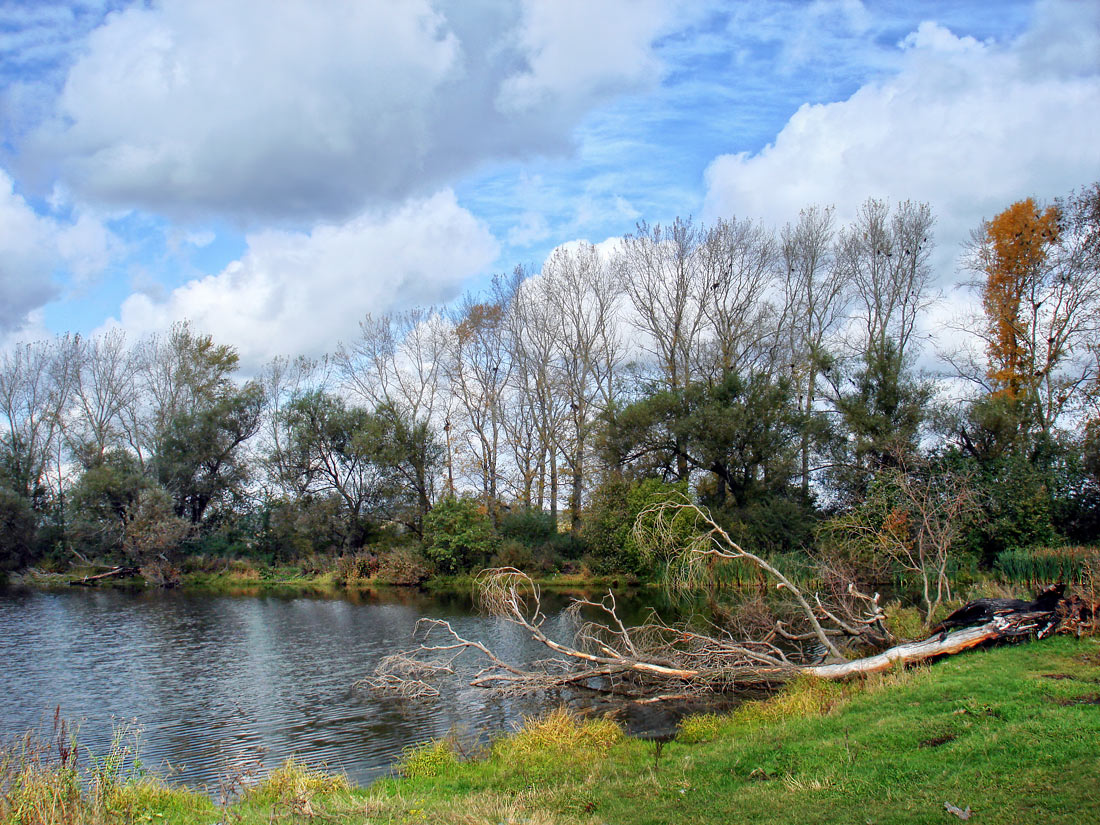 photo ".. September .." tags: landscape, autumn