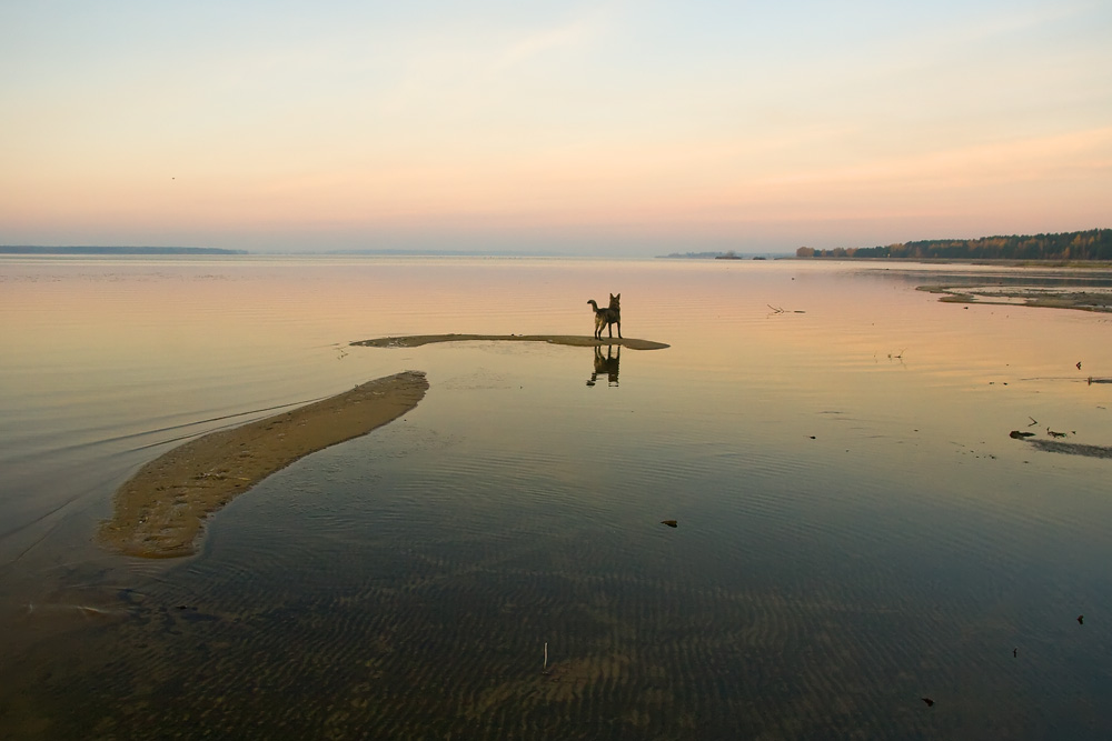 photo "***" tags: landscape, sunset, water