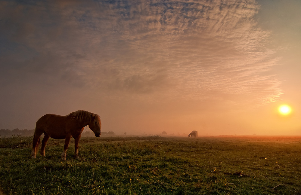 photo "***" tags: landscape, summer, sunset