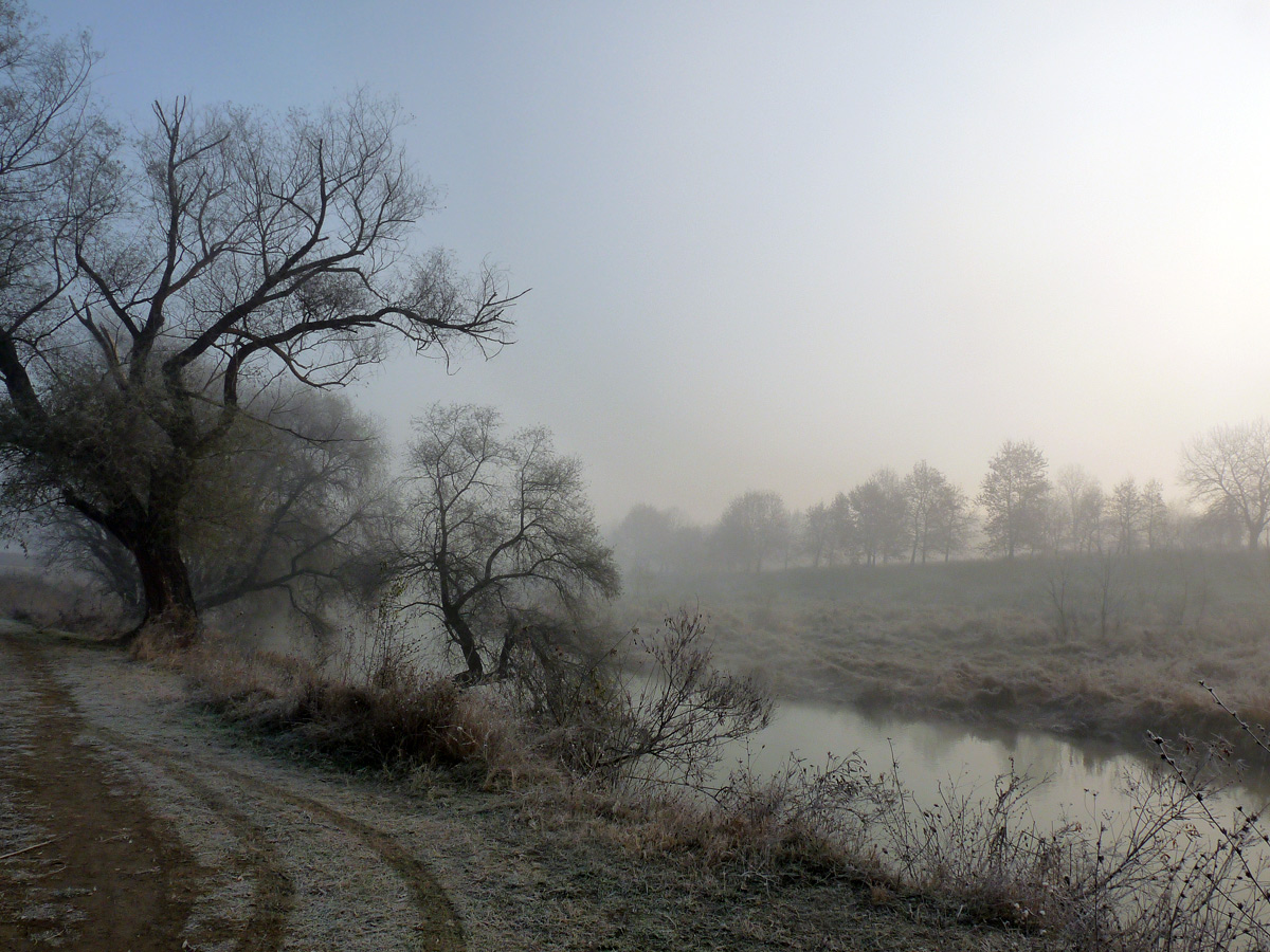 фото "***" метки: пейзаж, 