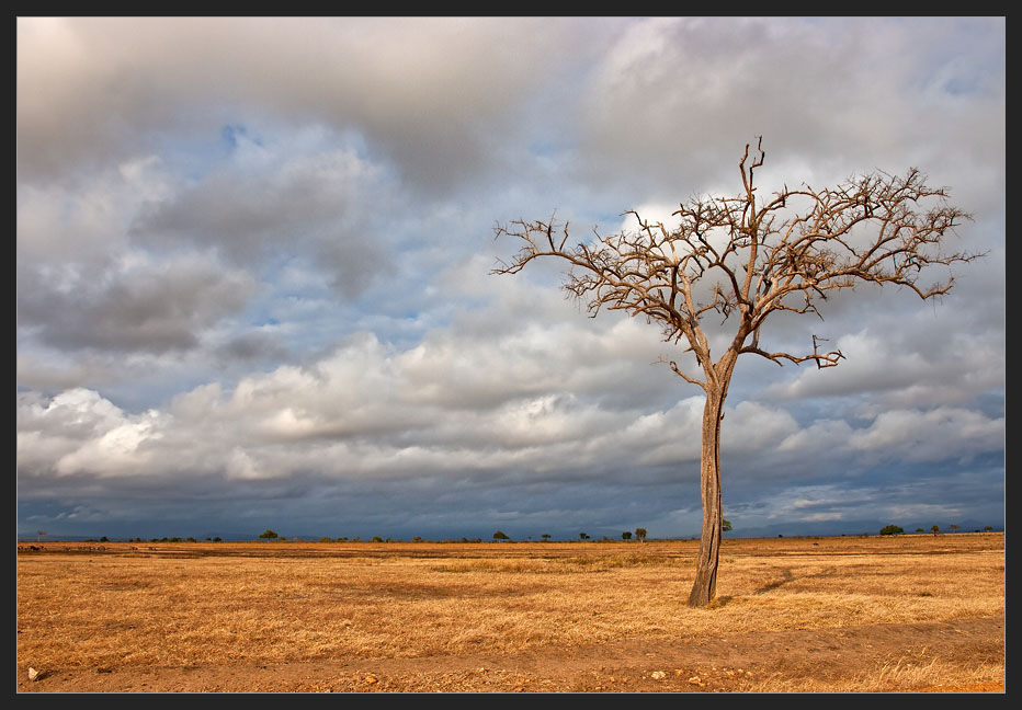 photo "Rain prayer" tags: landscape, nature, 