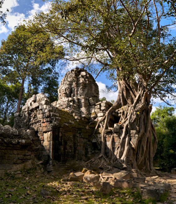 photo "The tower and the banyan over the eastern gate of the temple Ta Som" tags: travel, architecture, landscape, Asia