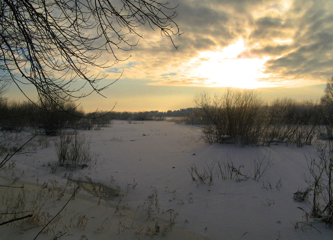 photo "Evening in December." tags: landscape, sunset, winter