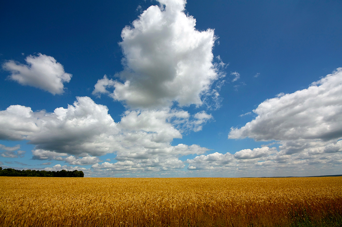 photo "Perspective clouds" tags: landscape, clouds, field, sky, summer