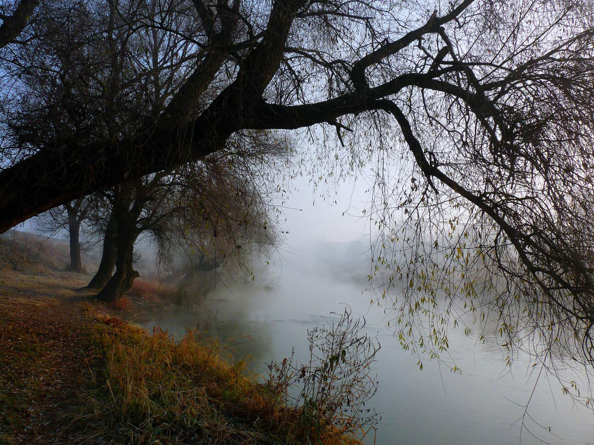 фото "***" метки: пейзаж, 