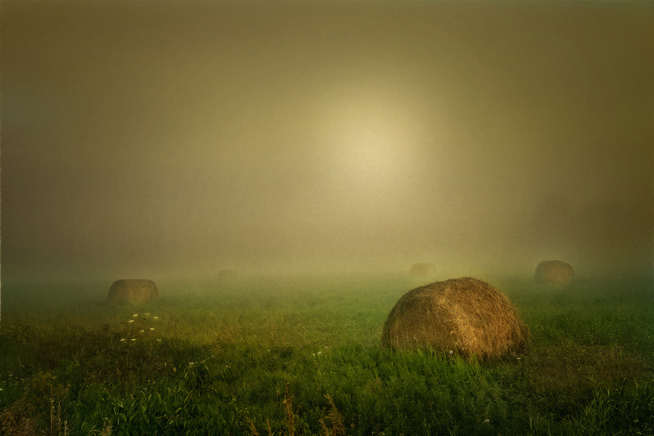 фото "Moods of Autummn" метки: пейзаж, 