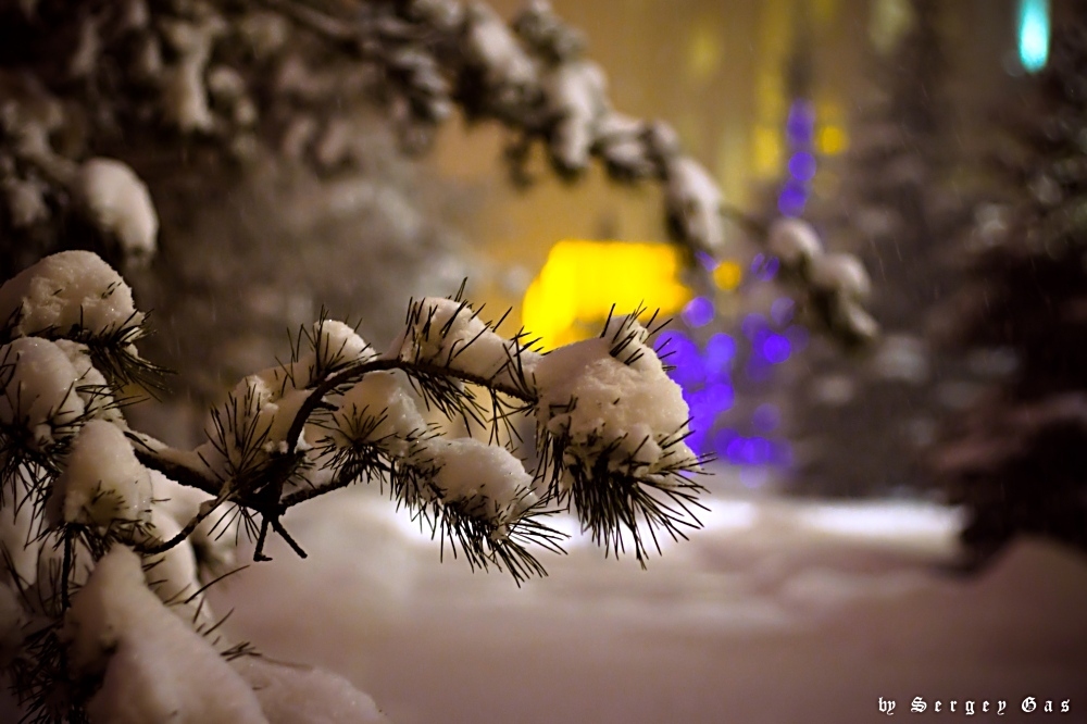 фото "Moscow winter" метки: пейзаж, зима