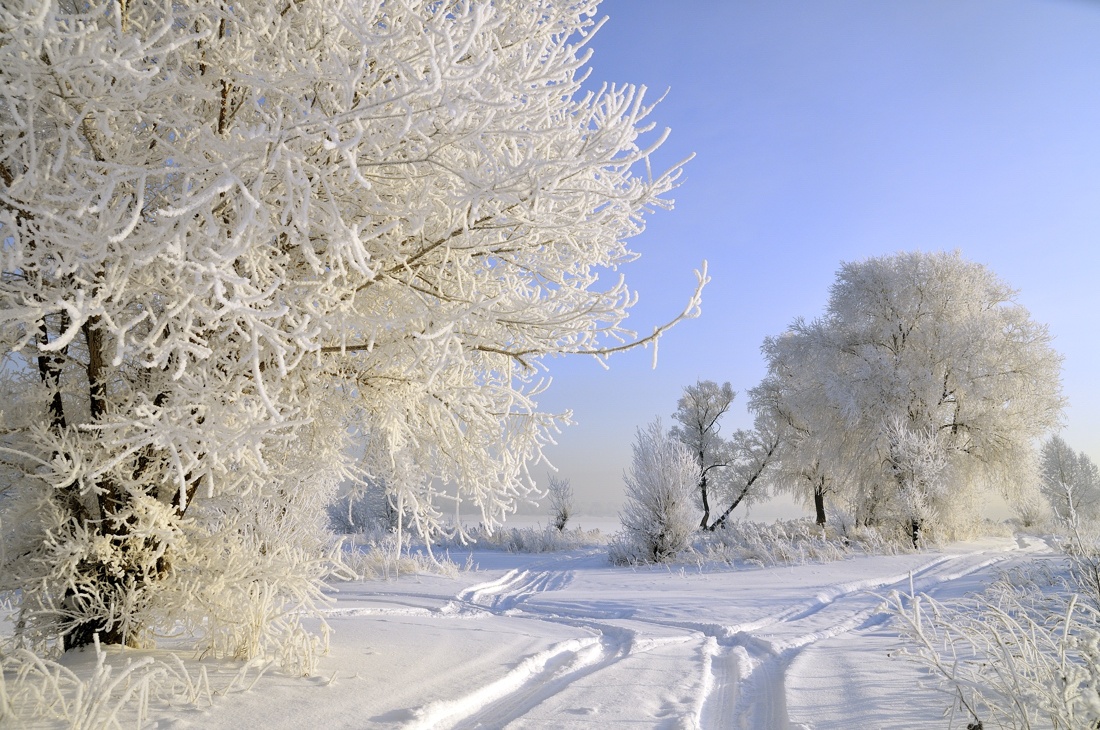 фото "Дороги, которые..." метки: пейзаж, зима, лес