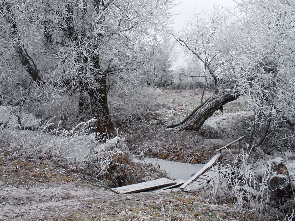 photo "***" tags: landscape, winter