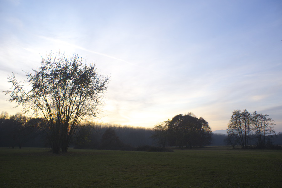 photo "late evening" tags: landscape, winter