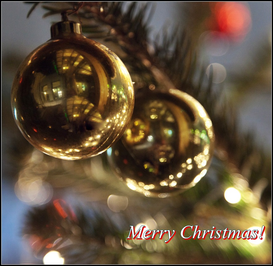 photo "Merry Christmas!" tags: misc., still life, 