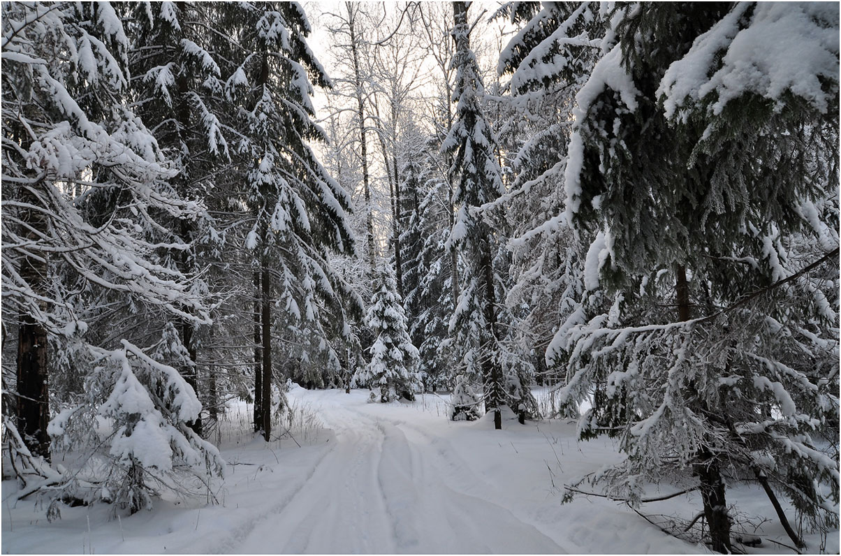 photo "***" tags: landscape, winter