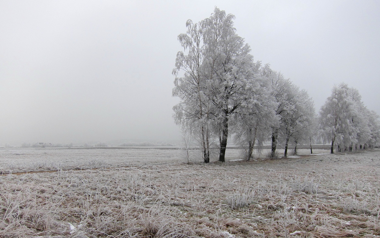 photo "***" tags: landscape, winter