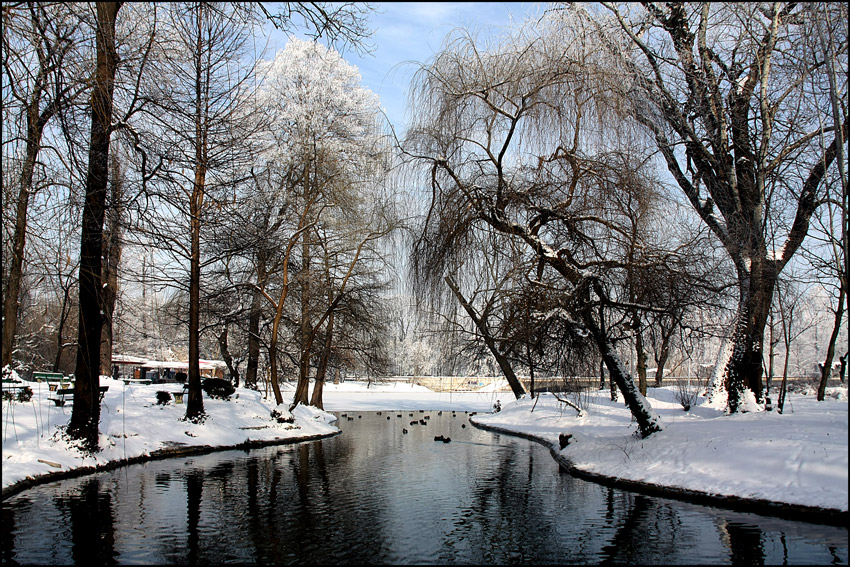 фото "Winter in the park" метки: пейзаж, зима, озеро, парк