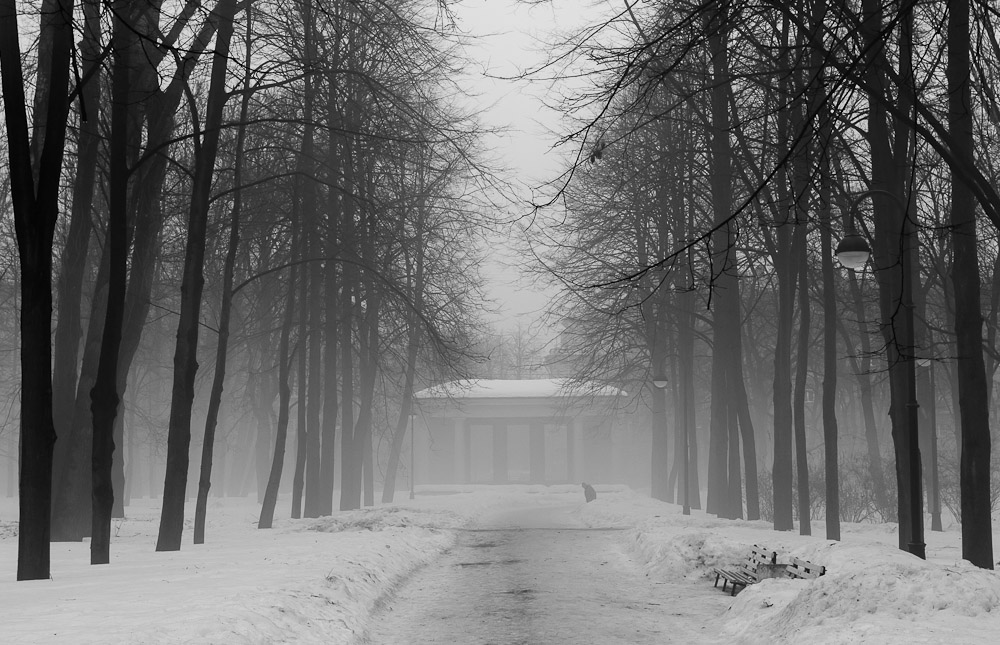 photo "Portal" tags: black&white, landscape, winter