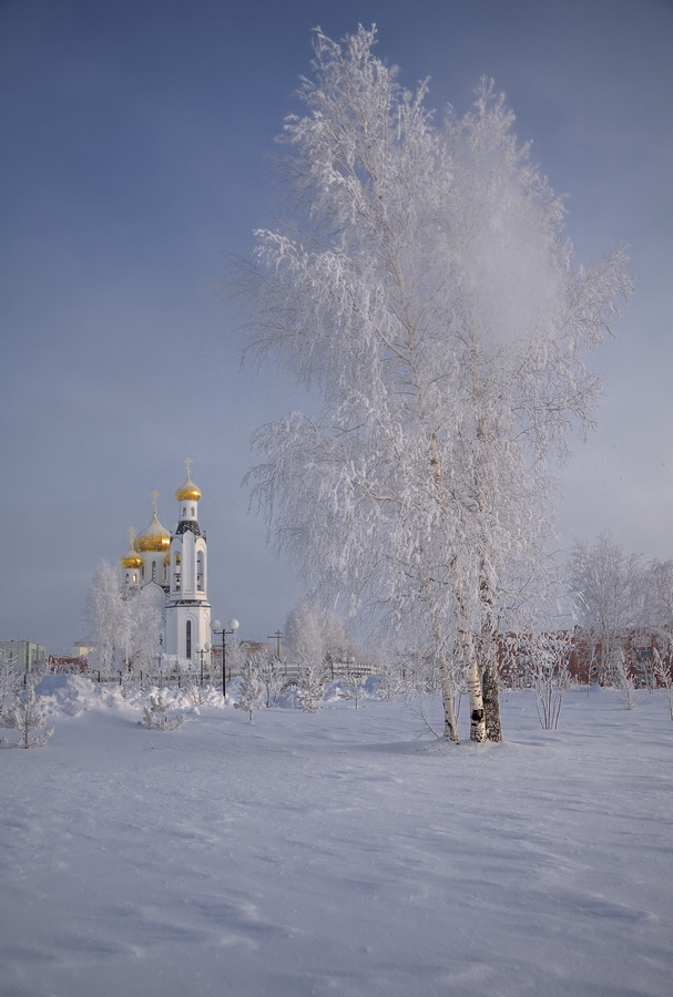 фото "Декабрь" метки: пейзаж, зима